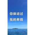 文字类1308