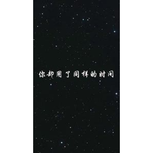 文字类1328