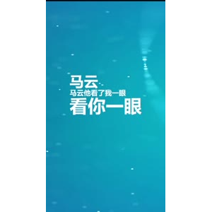 文字类1334