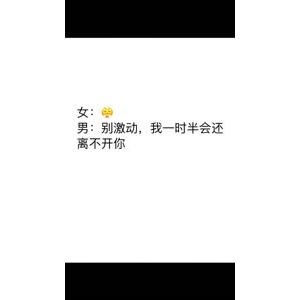 文字类1338