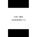 文字类1356