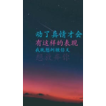 文字类1374