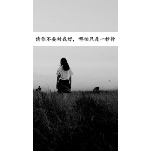 文字类1420