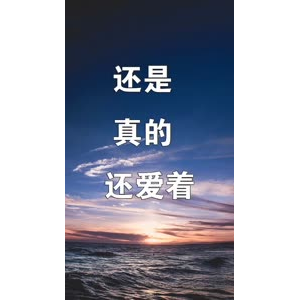 文字类1446