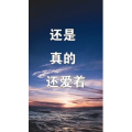 文字类1446
