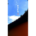 文字类1460