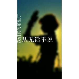 文字类1540