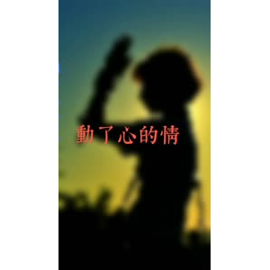 文字类1554