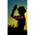 文字类1554