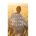 文字类1582
