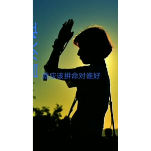 文字类1588