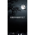 文字类1694