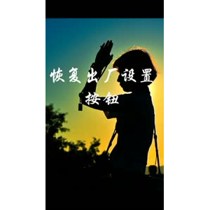 文字类1742