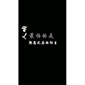 文字类1988