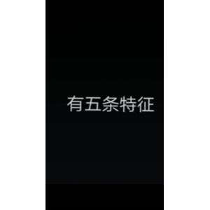 文字类1996
