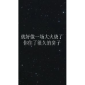 文字类2012
