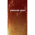 文字类2028