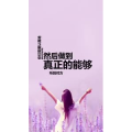 文字类2046