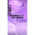 文字类2066