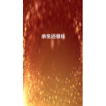文字类2106