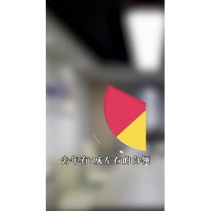 文字类2108