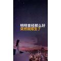 文字类2236