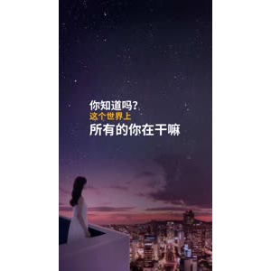 文字类2254