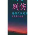 文字类2282