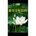 文字类2310