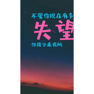 文字类2324