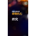 文字类2352