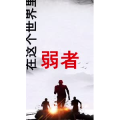 文字类2418