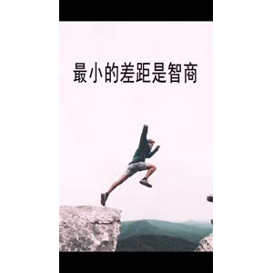 文字类2438