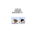 文字类2442