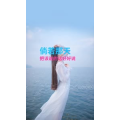 文字类2444