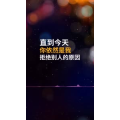 文字类2456