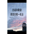 文字类2474