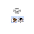 文字类2478