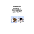 文字类2492