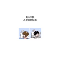 文字类2502