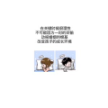 文字类2524