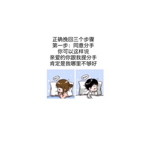 文字类2528