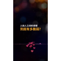 文字类2548