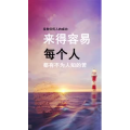 文字类2550