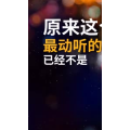 文字类2556
