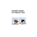 文字类2566