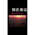 文字类2656