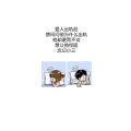 文字类2742