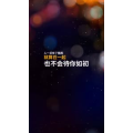 文字类2756