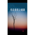 文字类2764